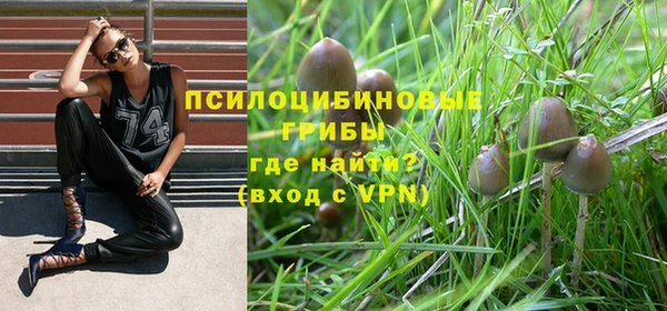 mdpv Алексин