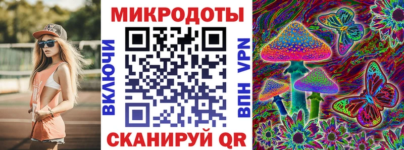 Галлюциногенные грибы Psilocybe  Полевской 